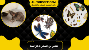 تخلص من الحشرات الزاحفة